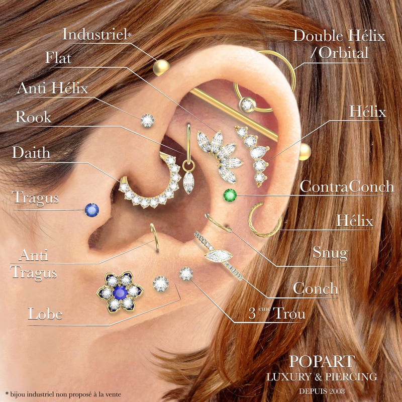 Source : https://popartpiercing.com/blog/noms-piercings-oreille-n34